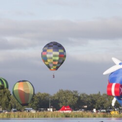 22032017 News Photo: DOMINICO ZAPATA News: The Balloons Over Waikato festival began its programme with the mass inflation of balloons at Innes Common. A big crowd assembled to watch the balloons take off.