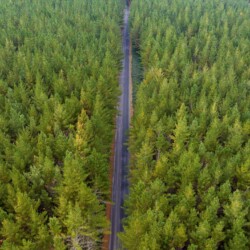 Photos taken in the South Waikato District for Waikato Screen. Location: Wawa Road. -38.390082, 175.93365