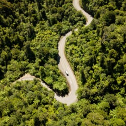 30122018 News Photo: DOMINICO ZAPATA News: The famous 309 Road crosses the Coromandel Ranges. It’s a long dusty journey through thick native bush, with Kauri tree groves, rivers, waterfalls, a quirky cafe and the famous pigs.