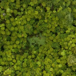 Photos taken in the Waitomo District for Waikato Screen. Te Tiro Accomodation. Location: -38.263595, 175.026312